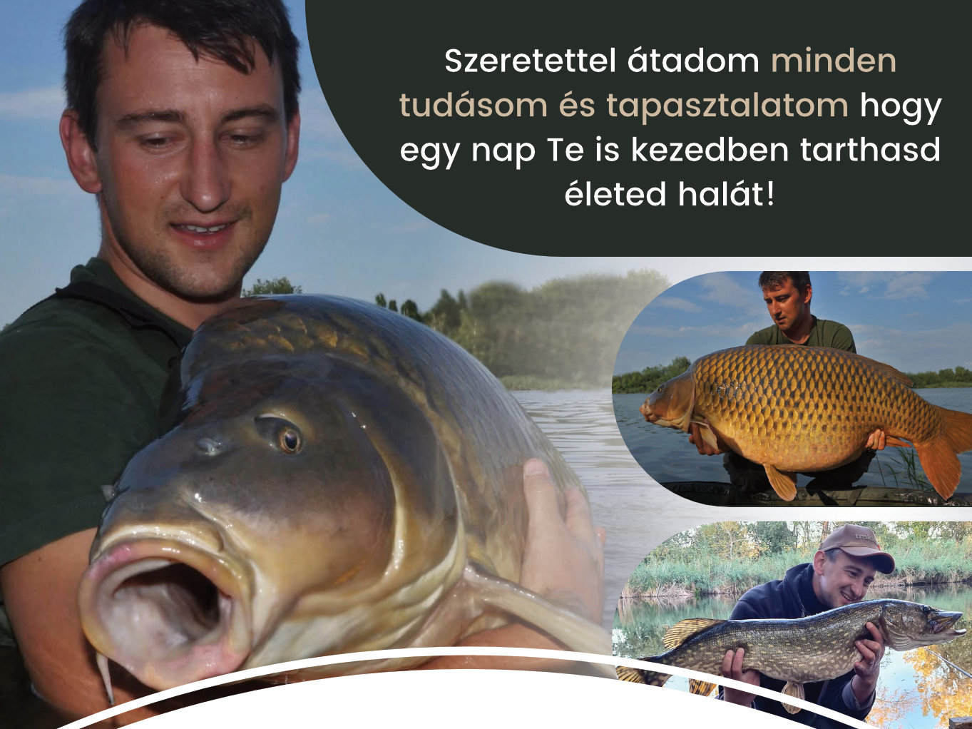 Az RDHSZ hivatalos guide-ja: Forgács Róbert