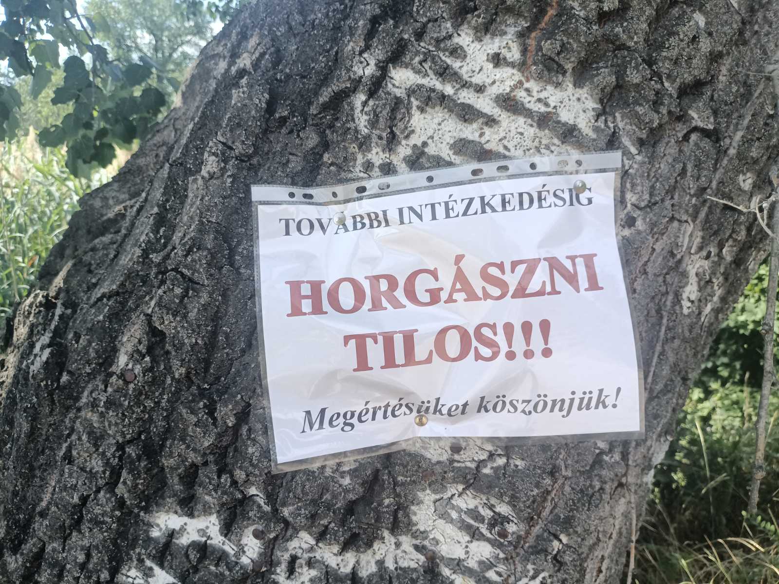 Rendkívüli horgászati tilalom a Dömsödi Holt-Dunán