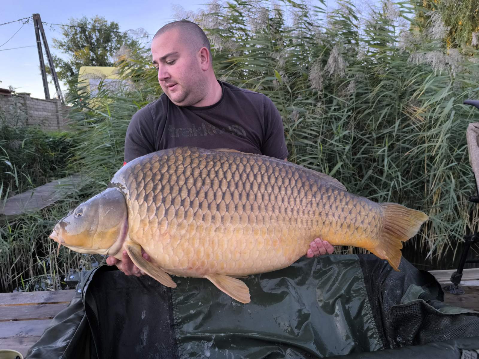 Berényi Antal, az RSD abszolút rekorder pontyfogója