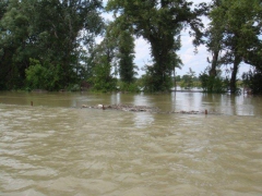 A 2013. júniusi árvíz Makádon