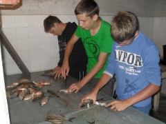 A Csepel HE dömsödi Ifjúsági Horgásztábora - 2012