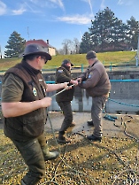 halmentes_20241219_24