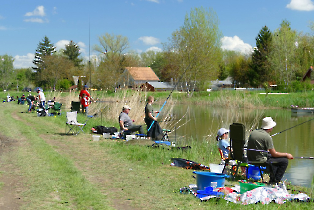 csaladi_verseny_2025_83